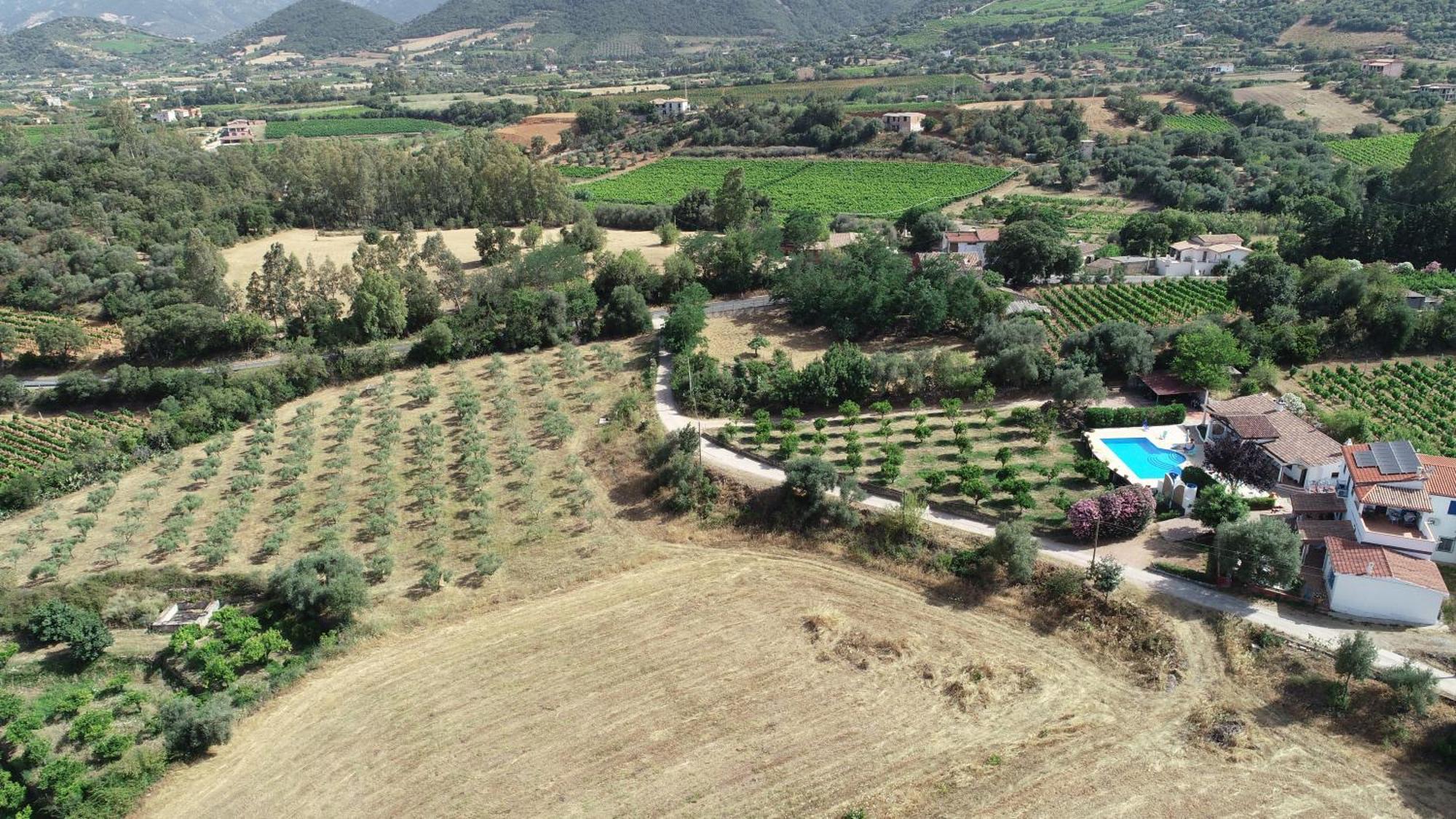 Domo Mea Villa Cardedu Exterior photo